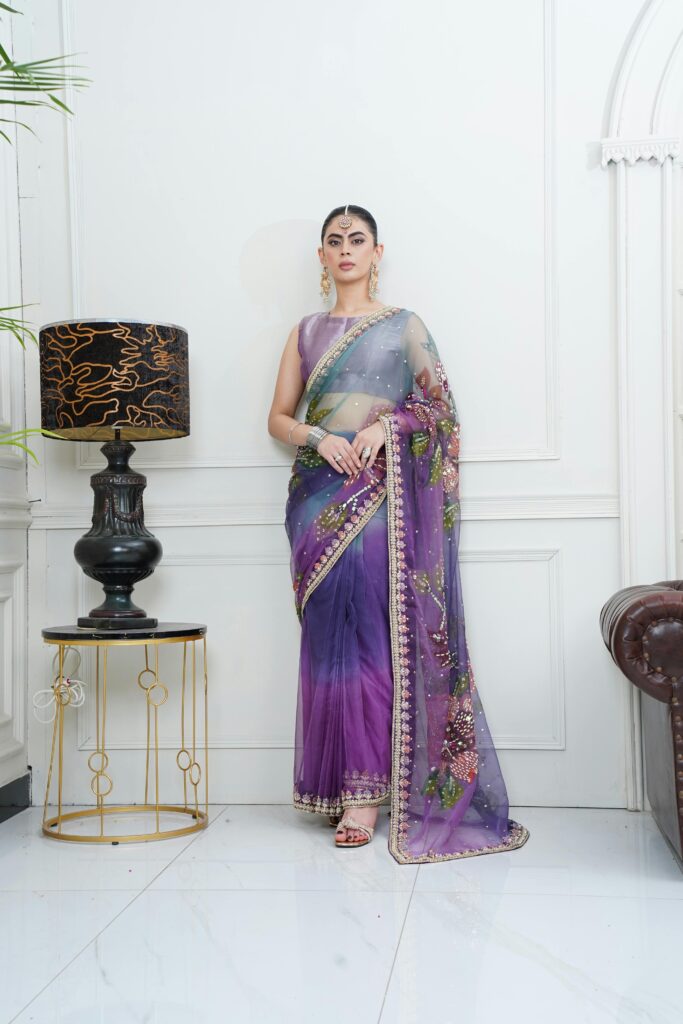 South Asian model in a beautifully embroidered saree for women